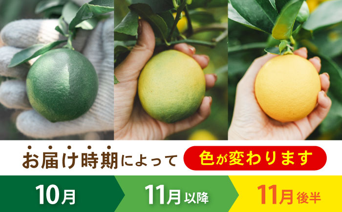 マイヤーレモン 5kg / レモン れもん 檸檬 フルーツ 果物 / 諫早市 / 山野果樹園 [AHCF004]