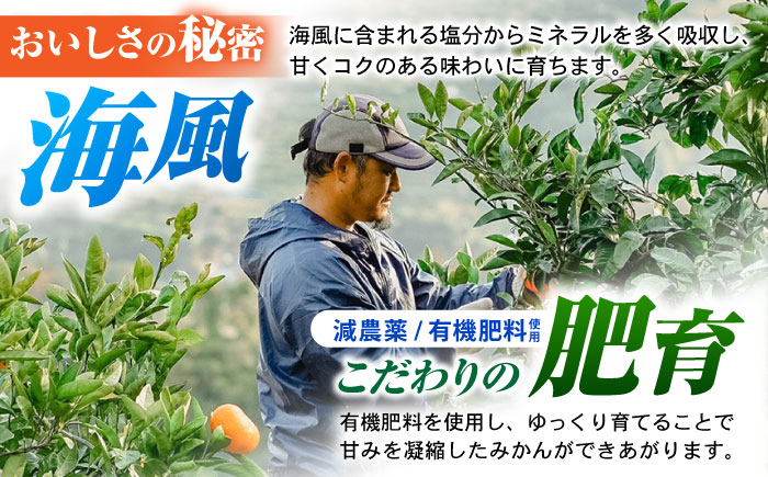 伊木力みかん (大玉) 5kg / みかん ミカン 蜜柑 柑橘 フルーツ ふるーつ 果物 くだもの / 諫早市 / 山野果樹園 [AHCF007]
