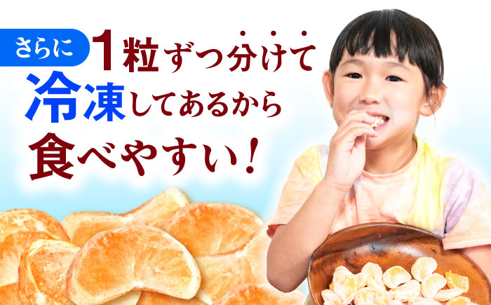 【3回定期便】冷凍 伊木力みかん 1.6kg(400g×4) / みかん ミカン 蜜柑 柑橘 フルーツ ふるーつ 果物 くだもの 冷凍 冷凍みかん / 諫早市 / 山野果樹園 [AHCF011]