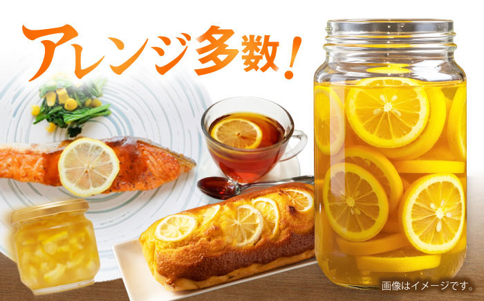 【贈答用】マイヤーレモン 5kg / レモン れもん 檸檬 果汁 柑橘 フルーツ ふるーつ 果物 くだもの / 諫早市 / 山野果樹園 [AHCF014]