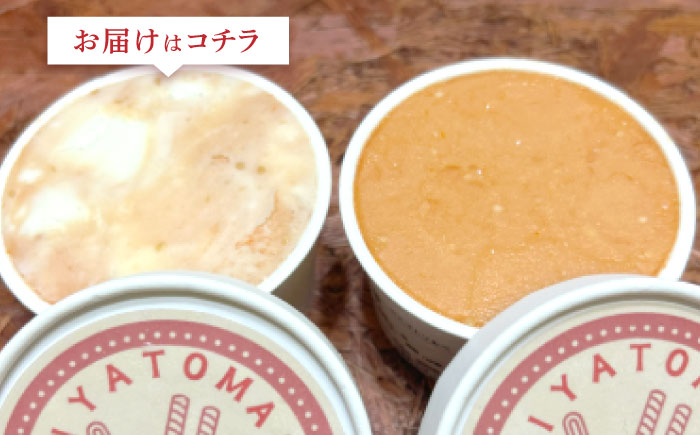 宮トマトチーズジェラート　80ml×6個 / ジェラート トマト とまと チーズ アイス　アイスクリーム スイーツ / 諫早市 / 宮下農園 [AHCG031]