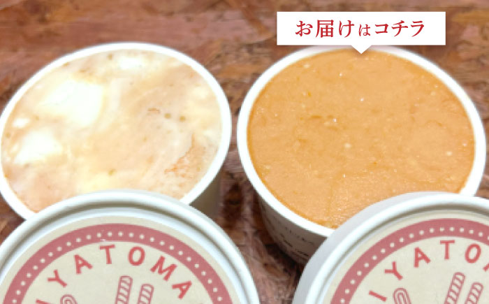 宮トマトジェラート 80ml×6個 / ジェラート トマト とまと アイス　アイスクリーム スイーツ / 諫早市 / 宮下農園 [AHCG032]