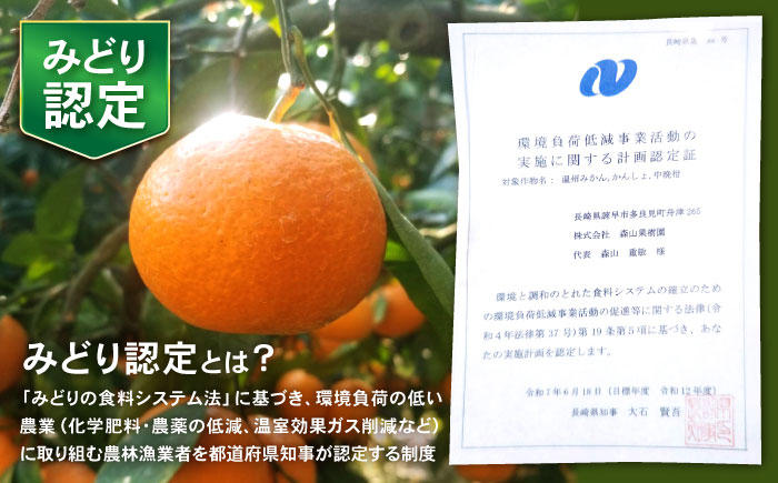 伊木力産 森山果樹園のこだわりみかん 10kg / みかん ミカン 柑橘 伊木力みかん 温州みかん / 諫早市 / 森山果樹園 [AHCO007]