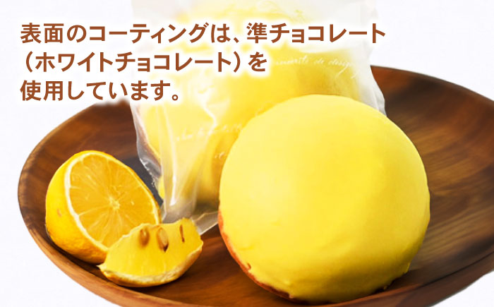 【年内配送】(12/23入金分まで)地元で大人気のレモンケーキ(10個入り) / レモンケーキ レモン スイーツ お菓子 / 諫早市 / ケーキショップ・ジタン [AHCR003]