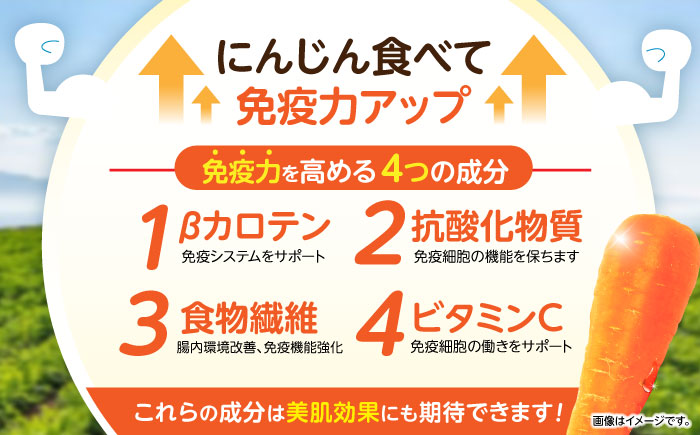 【年内配送】(12/23入金分まで)滝さんの人参 10kg / にんじん ニンジン 人参 やさい 野菜 / 諫早市 / 滝商店株式会社 [AHCU001]