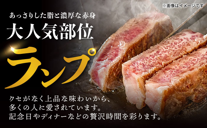 ランプ ステーキ 300g（150g×2枚） / 牛肉 牛 肉 和牛 ステーキ 長崎和牛 A5ランク 希少部位 / 諫早市 / 野中精肉店 [AHCW002]