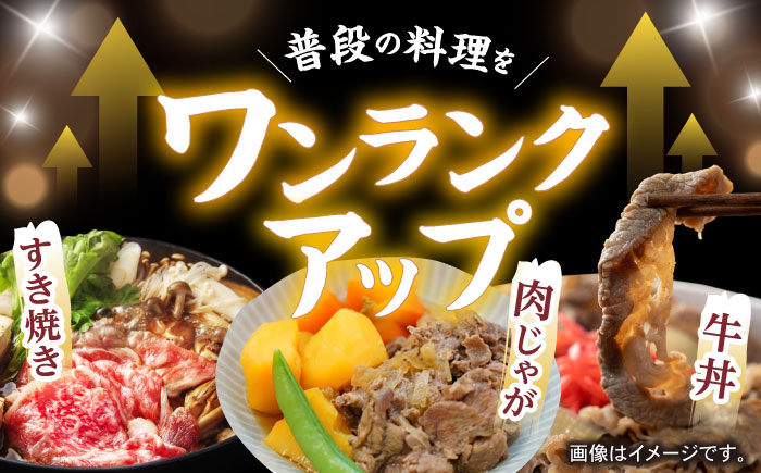 【6回定期便】【訳あり】長崎和牛 切り落とし 赤身 モモ バラ 500g(250g×2) / 長崎和牛 A5ランク ワケあり 小間切れ / 諫早市 / 野中精肉店 [AHCW013]