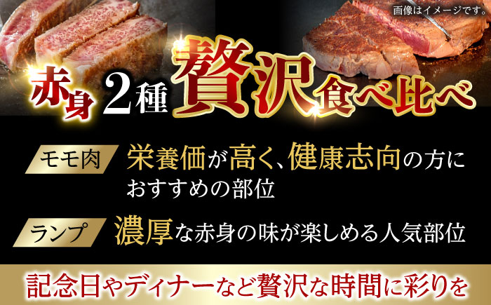 【贅沢赤身セット】 モモ ステーキとランプ ステーキ 総計600g (150g×4枚) / モモステーキ ランプステーキ 長崎和牛 A5ランク / 諫早市 / 野中精肉店 [AHCW016]