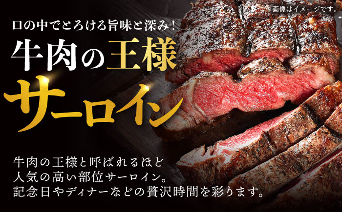 【12回定期便】サーロイン ステーキ 400g（200g×2枚） / サーロインステーキ 長崎和牛 A5 希少部位 / 諫早市 / 野中精肉店 [AHCW029]