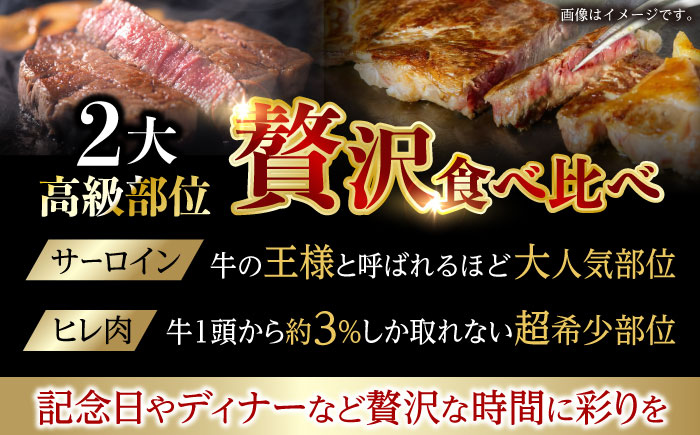 【6回定期便】【二大高級部位！】サーロイン と ヒレ ステーキ 計700g (各2枚) / 長崎和牛 A5ランク 希少部位 / 諫早市 / 野中精肉店 [AHCW082]