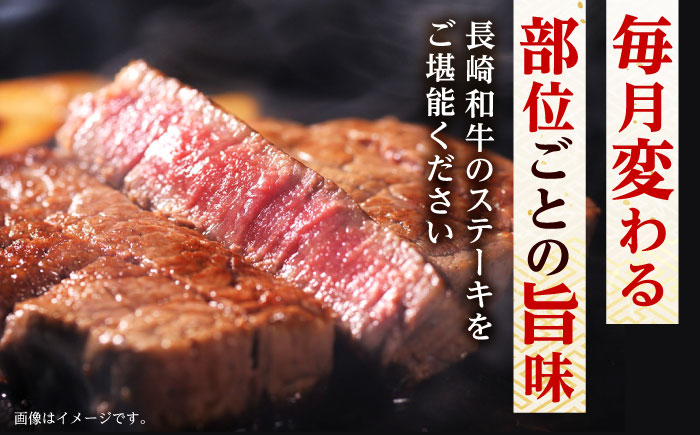 【6回定期便】 長崎和牛 A5 ステーキざんまいコース 総計2.5kg / モモ リブロース イチボ サーロイン ランプ ヒレ / 肉 牛肉 ステーキ 焼肉 / 諫早市 / 野中精肉店 [AHCW085]
