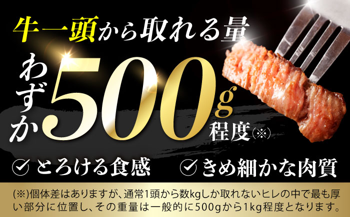 【12回定期便】 【唯一無二の贅沢！】長崎和牛 A5 シャトーブリアン 300g(150g×2) / ヒレ ひれ ヒレステーキ ステーキ すてーき しゃとーぶりあん / 諫早市 / 野中精肉店 [AHCW113]