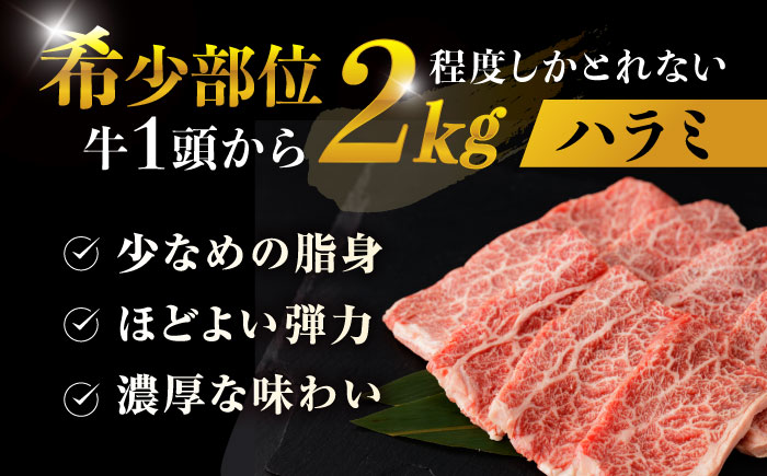 【味付き】 【柔らかさとコクの融合！】長崎和牛 A5 ハラミ 300g / 国産 牛肉 和牛 焼肉 はらみ / 諫早市 / 野中精肉店 [AHCW116]