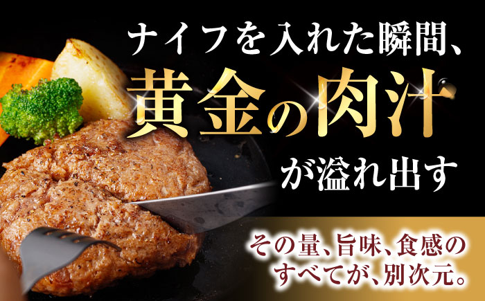 【6回定期便】【肉汁、洪水警報】長崎和牛 手ごねハンバーグ 750g(150g×5個) / 国産 牛肉 和牛 肉 a5 ハンバーグ はんばーぐ 小分け / 諫早市 / 野中精肉店 [AHCW131]