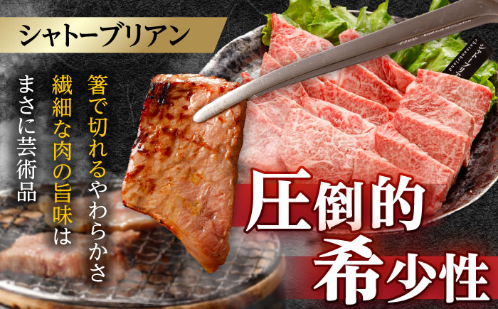 〈シャトーブリアン入り〉希少部位 焼肉 6種食べ比べセット 600g(各100g) / シャトー サーロイン カルビ モモ ロースザブトン ミスジ トモサンカク イチボ ランプ 長崎和牛 国産 牛肉 和牛 a5 焼肉 やきにく 焼き肉用 セット / 諫早市 / 野中精肉店[AHCW146]
