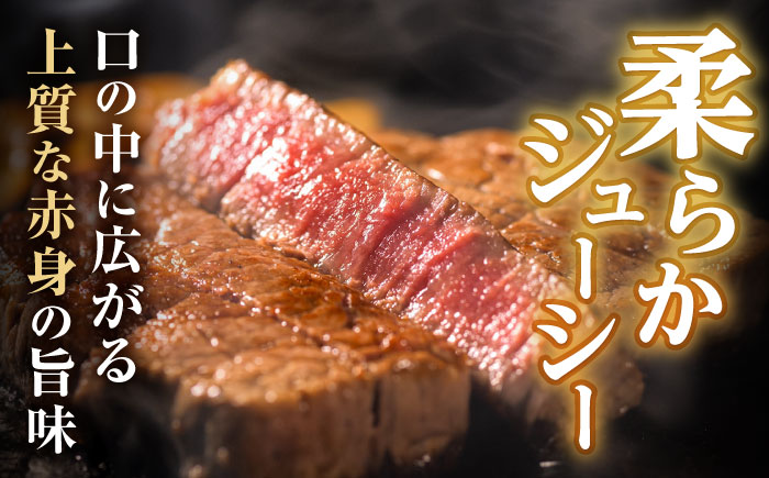 長崎和牛 A5 ヒレステーキ 450g(150g×3) / ヒレ ヒレステーキ ヒレ肉ステーキ ヒレ肉 長崎和牛 A5 希少部位 / 諫早市 / 野中精肉店 [AHCW158]