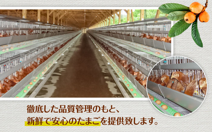 産直枇杷たまご 5kg / 卵 たまご 鶏卵 国産 玉子 枇杷 / 諫早市 / 長崎県養鶏農業協同組合 [AHCX003]