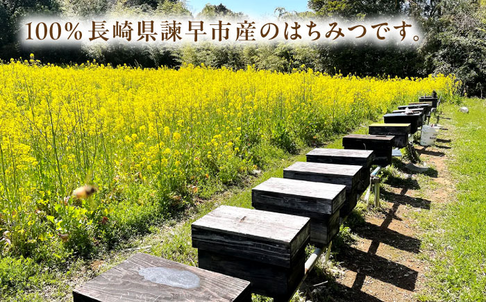 長崎県産天然はちみつ80g×3本セット / 百花蜜 百花蜂蜜 蜂蜜 はちみつ ハチミツ / 諫早市 / 坂口養蜂 [AHDB004]