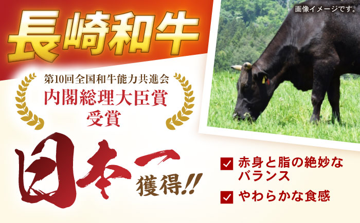 【12回定期便】長崎和牛 ハンバーグ 150g×10パック / ハンバーグ はんばーぐ 牛肉100％ 国産 冷凍 / 諫早市 / 有限会社長崎フードサービス [AHDD017]