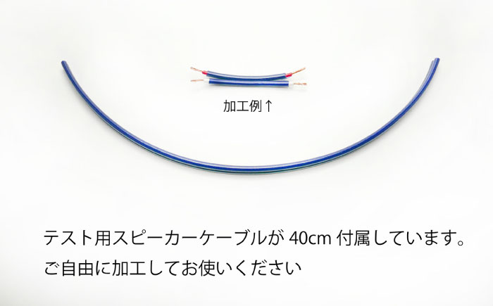 アクティブトロンプラス スピーカー用 SP-1S 2個組 / ノイズフィルター オーディオ　音質向上 イヤホン　ヘッドホン　高音質 / 諫早市 / オーディオ・ラボ有限会社 [AHDF007]