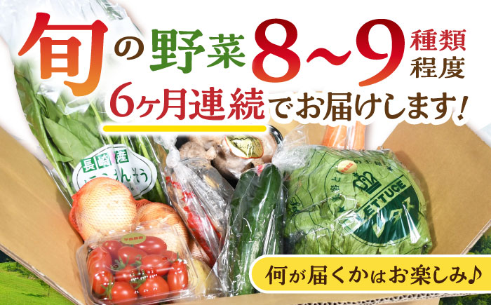 【6回定期便】諫早産野菜の詰め合わせ(8～9品目程度) / 季節 旬 野菜 春野菜 夏野菜 秋野菜  / 諫早市 / 肥前グローカル株式会社 [AHDI002]
