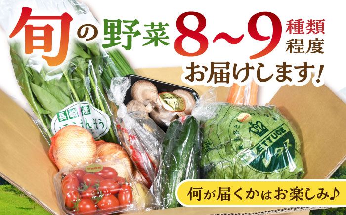 【年内配送】(12/23入金分まで)諫早産野菜の詰め合わせ(8～9品目程度) / 季節 旬 野菜 春野菜 夏野菜 秋野菜  / 諫早市 / 肥前グローカル株式会社 [AHDI004]