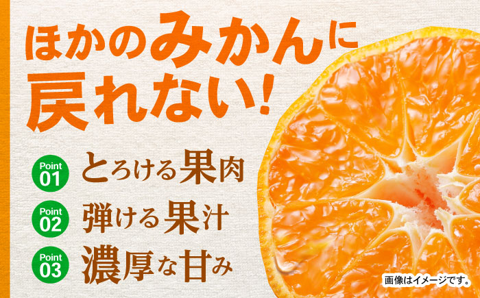 諫早市産 温州みかん 10kg / みかん ミカン 蜜柑 オレンジ フルーツ ふるーつ 果物 くだもの 10kg / 諫早市 / 肥前グローカル株式会社 [AHDI010]