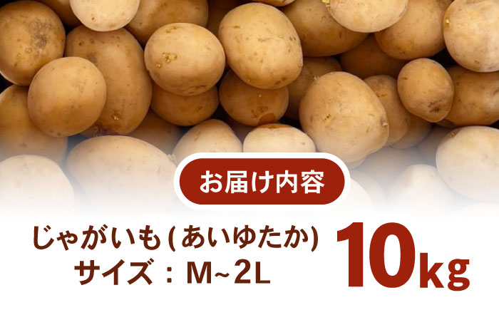 ジャガイモ(あいゆたか)　10kg/ 諫早市 / 未来ファーム [AHEY001]