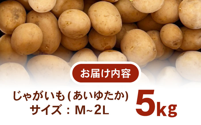 ジャガイモ(あいゆたか)　5kg / 諫早市 / 未来ファーム [AHEY002]
