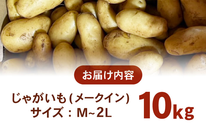 ジャガイモ(メークイーン)　10kg / 諫早市 / 未来ファーム [AHEY003]