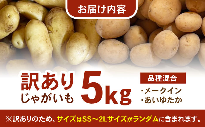 訳ありジャガイモ(品種ミックス)　5kg / 諫早市 / 未来ファーム [AHEY006]