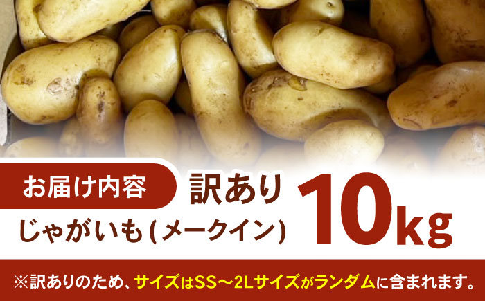 訳ありジャガイモ(メイクイーン)　10kg / 諫早市 / 未来ファーム [AHEY008]