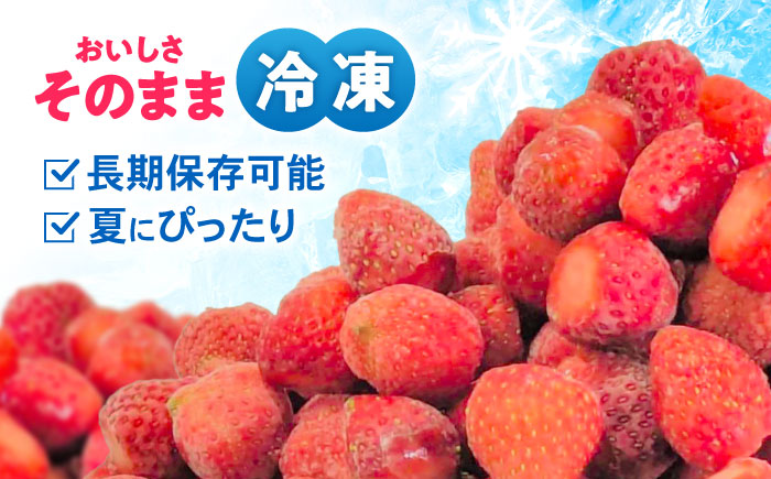 【完熟の恵み、ぎゅっと冷凍！】冷凍いちご「ゆめのか」 Sサイズ 1.5kg(500g×3) / いちご イチゴ 苺 冷凍 冷凍いちご 冷凍フルーツ イチゴジャム / 諫早市 / むらたサービス [AHFA002]
