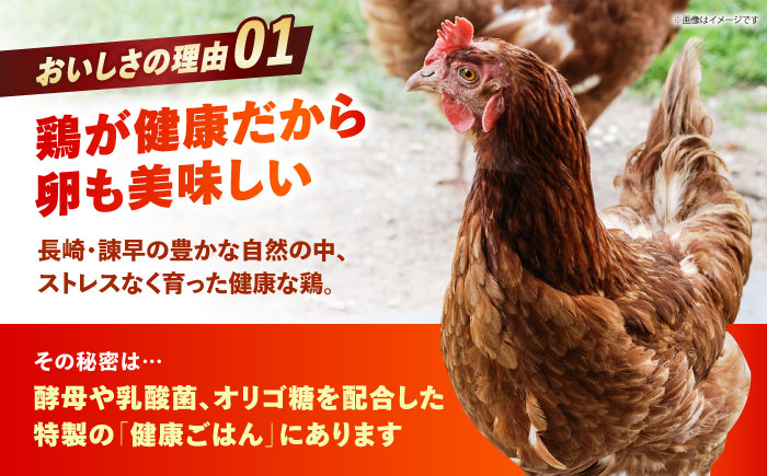 【朝採れ直送】小峰鶏園 赤たまご Lサイズ 60個 / 卵 玉子 たまご 卵焼き 玉子焼き 生卵 鶏卵 卵かけごはん / 諫早市 / 小峰鶏園 [AHFB001]