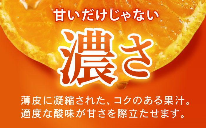 伊木力みかん 5kg  / みかん ミカン 佐瀬みかん 伊木力みかん 濃い 温州みかん 薄皮 5kg / 諫早市 / 伊佐農園 [AHFI015]