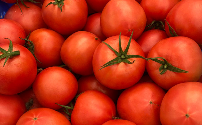 完熟大玉トマト 3.6kg(1.8kg×2) / トマト とまと tomato トマトジュース 野菜 やさい サラダ 完熟 甘い / 諫早市 / 菜食美農園 [AHFK001]