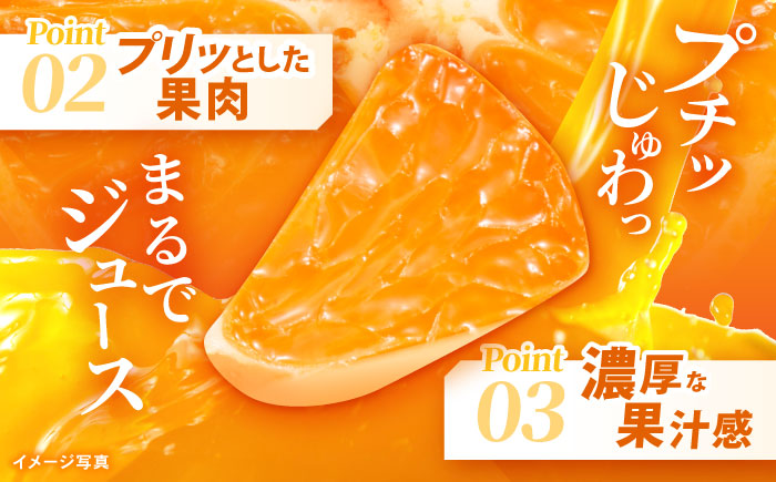 ※【2026年11月より順次発送／先行予約】【食べる濃厚ジュース】佐瀬みかん 10kg / みかん ミカン 蜜柑 オレンジ 柑橘 フルーツ ふるーつ 果物 くだもの みかんジュース 甘い / 諫早市 / 一正 [AHFL002]