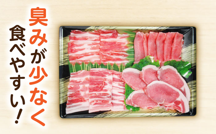 ながさき健王豚セット / 豚肉 健王豚 豚バラ バラ 豚ロース ロース / 諫早市 / 長崎県央農業協同組合　Aコープ本部 [AHAA001]