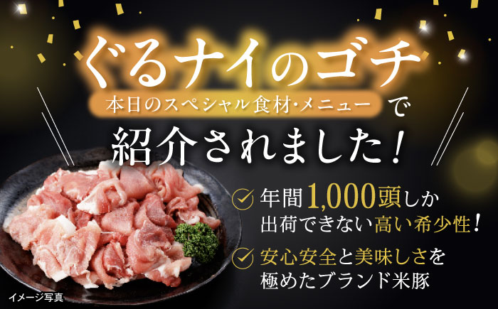 諫美豚ハンバーグ 14個（各150g）計2.1kg / 豚肉 ハンバーグ はんばーぐ おかず 惣菜 冷凍 / 諫早市 / 土井農場 [AHAD052]