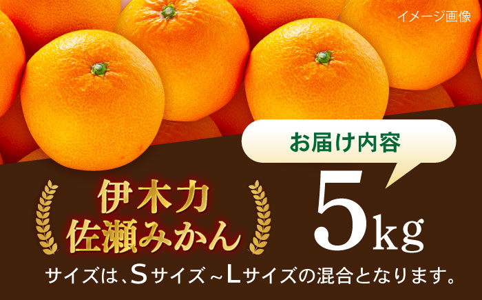 <先行受付> 伊木力佐瀬みかん5kg(混合サイズ：S～L)　/　みかん　佐瀬みかん　伊木力みかん　産地直送　産直　/　諫早市　/　山田果樹園 [AHAJ004]