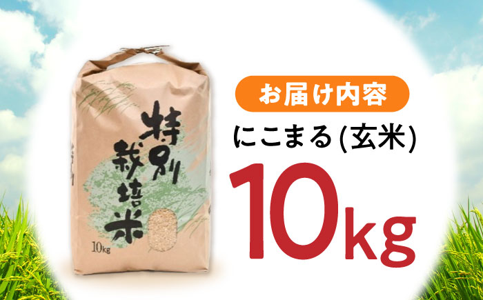 【年内配送】(12/23入金分まで)【R7年新米】九州のこだわり「にこまる」玄米 10kg / 米 おこめ お米 玄米 げんまい にこまる / 諫早市 / 上島農産 [AHAS002] 新米 しんまい