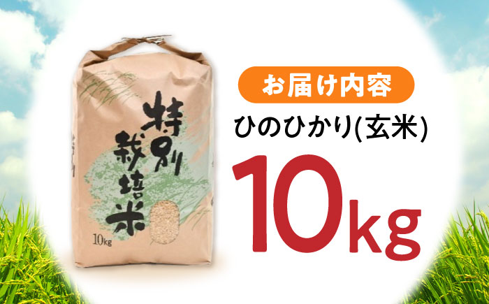 【年内配送】(12/23入金分まで)【R7年新米】九州のこだわり「ひのひかり」玄米 10kg / 米 おこめ お米 玄米 ひのひかり / 諫早市 / 上島農産 [AHAS004] 新米 しんまい
