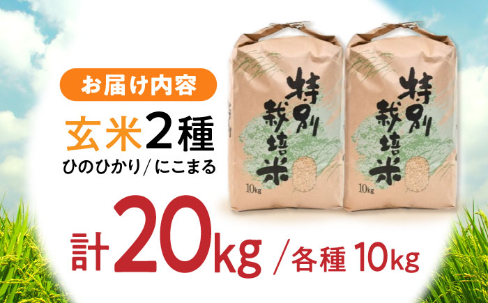 【年内配送】(12/23入金分まで)【R7年新米】九州のこだわり玄米食べ比べ (10kg×2) / 米 お米 コメ にこまる ひのひかり 食べ比べ 玄米 / 諫早市 / 上島農産 [AHAS006] 新米 しんまい