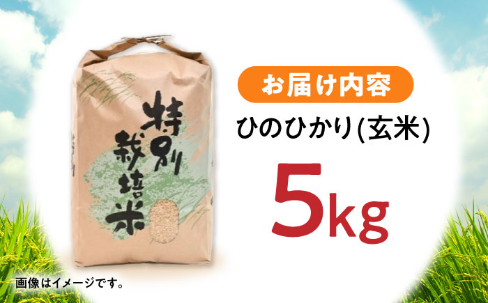 【R7年産】九州のこだわり「ひのひかり」玄米 5kg / 米 こめ お米 おこめ 玄米 げんまい ひのひかり ヒノヒカリ 長崎県産 / 諫早市 / 上島農産 [AHAS015]