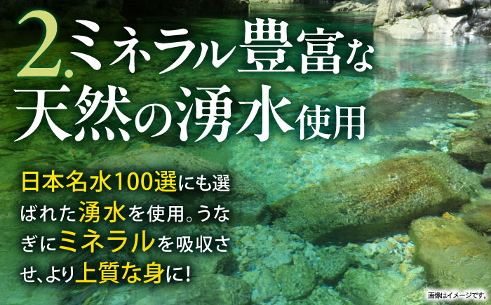 【年内配送】(12/23入金分まで)＜諫早淡水＞うなぎ白焼き4尾 / うなぎ ウナギ 鰻 白焼き 白焼 しらやき 冷凍 国産 小分け / 諫早市 / 活うなぎ問屋 諫早淡水 [AHAT012]
