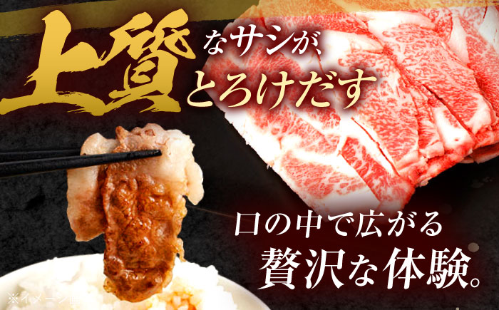 長崎和牛 切り落とし 800g（400g×2）肩ロース・モモ・カタ・バラ使用 / 牛肉 ぎゅうにく 肉 和牛 国産牛 切落し / 諫早市 / 西日本フード株式会社 [AHAV004]