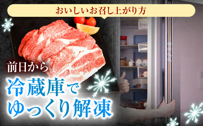 【3回定期便】長崎和牛 切り落とし 2kg（400g×5）肩ロース・モモ・カタ・バラ使用 / 牛肉 ぎゅうにく 肉 和牛 国産牛 切落し / 諫早市 / 西日本フード株式会社 [AHAV028]