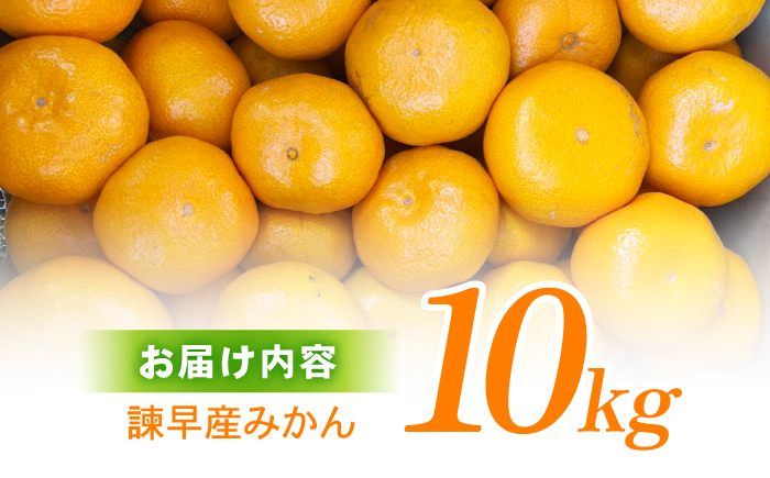 諫早産みかん 10kg / みかん ミカン 蜜柑 フルーツ ふるーつ 果物 くだもの 10kg / 諫早市 / 松尾農園 [AHAY028]