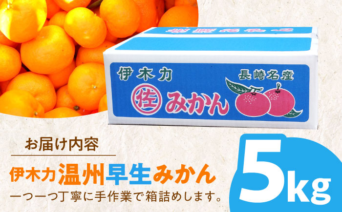 ※【2025年(令和7年)12月発送分／先行予約】伊木力温州早生みかん5kg(ご家庭用、箱入り) / 伊木力 温州みかん みかん ミカン 蜜柑 佐瀬 諫早 多良見 長崎 早生　/ 末永果樹園 [AHBD004]