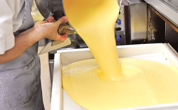 【年内配送】(12/23入金分まで)長崎カステラ 1号(580g、10切)×2本 / かすてら カステラ お菓子 おやつ スイーツ / 諫早市 / 株式会社異人堂 [AHBF006]